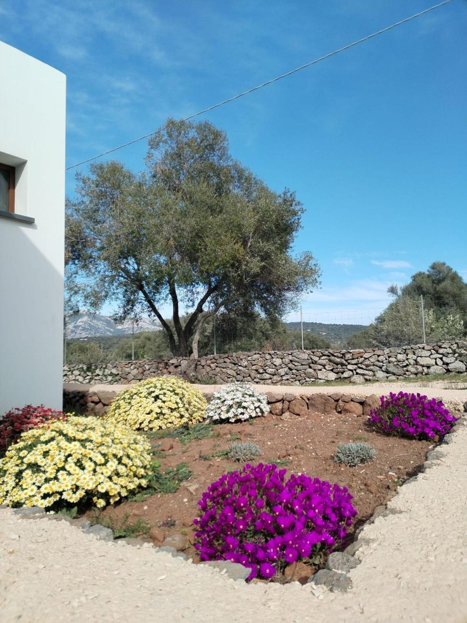 Farmhouse La Croisette - Agriturismo Dorgali Eksteriør bilde