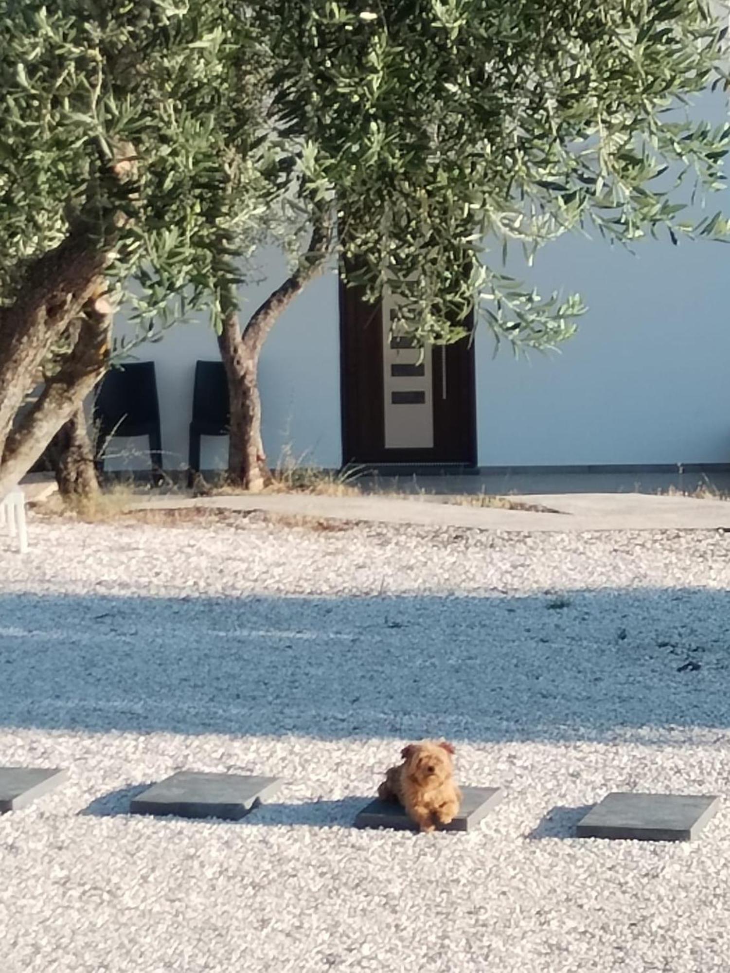 Farmhouse La Croisette - Agriturismo Dorgali Eksteriør bilde